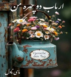 دانلود رمان ارباب دوچهره من از هانی با لینک مستقیم