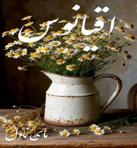 دانلود رمان اقیانوس از رزالین با لینک مستقیم