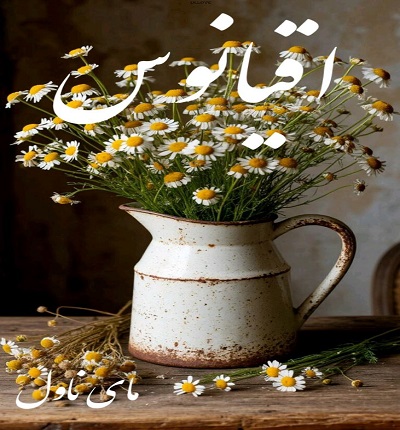 دانلود رمان اقیانوس از رزالین با لینک مستقیم دانلود رمان اقیانوس از رزالین با لینک مستقیم