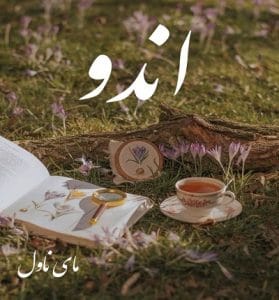 دانلود رمان اندو از مگ جکسون با لینک مستقیم