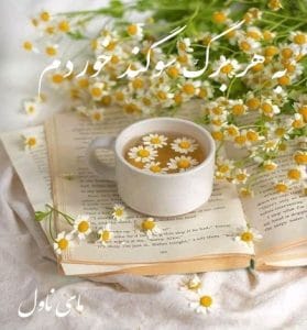 دانلود رمان به هر برگ سوگند خوردم از محیا نگهبان با لینک مستقیم