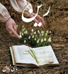 دانلود رمان رین از مگ جکسون با لینک مستقیم