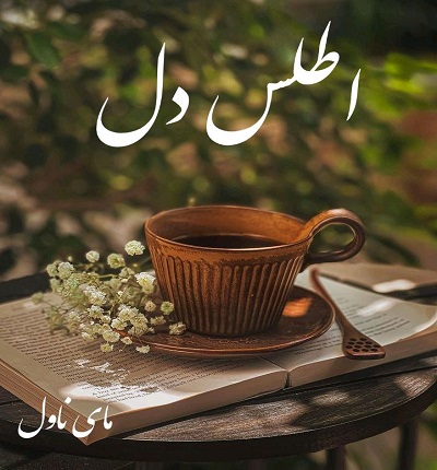 دانلود رمان اطلس دل از برنه براون با لینک مستقیم دانلود رمان اطلس دل از برنه براون با لینک مستقیم
