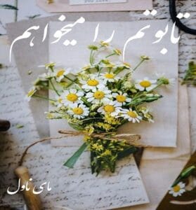 دانلود رمان تابوتم را میخواهم از دینا خالص با لینک مستقیم