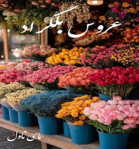 دانلود رمان عروس بلگراد از اکرم حسین زاده (امیدوار) با لینک مستقیم