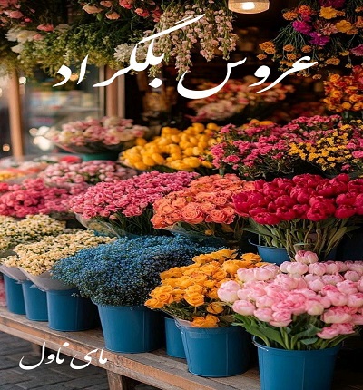 دانلود رمان عروس بلگراد از اکرم حسین زاده (امیدوار) با لینک مستقیم دانلود رمان عروس بلگراد از اکرم حسین زاده (امیدوار) با لینک مستقیم
