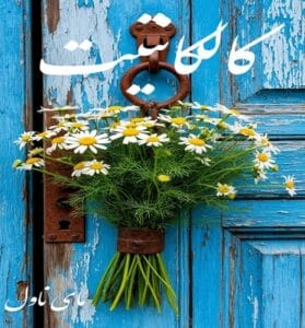 دانلود رمان کالکانتیت از فائزه رخشانی با لینک مستقیم
