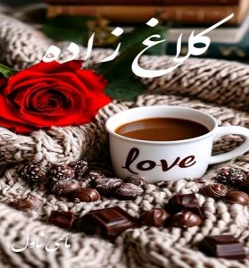 دانلود رمان کلاغ زاده از نوشین سلمانوندی با لینک مستقیم
