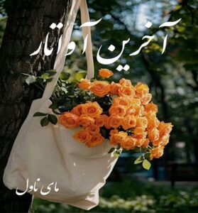 دانلود رمان آخرین آواتار  از پانیذ الف با لینک مستقیم