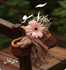 دانلود رمان آسو  از نسرین سیفی  با لینک مستقیم