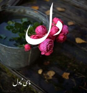 دانلود رمان دل  از سارا بانو  با لینک مستقیم