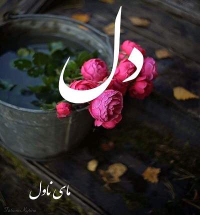 دانلود رمان دل  از سارا بانو  با لینک مستقیم