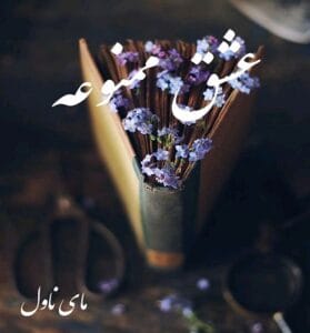 دانلود رمان عشق ممنوعه از شهره احیایی  با لینک مستقیم