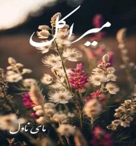 دانلود رمان میراکل  از شوکا  با لینک مستقیم