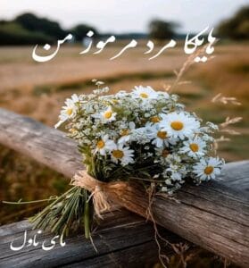 دانلود رمان هایکا مرد مرموز من  از الناز بوذر جمهری با لینک مستقیم