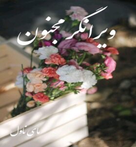 دانلود رمان ویرانگر مجنون  از کورا ریلی با لینک مستقیم