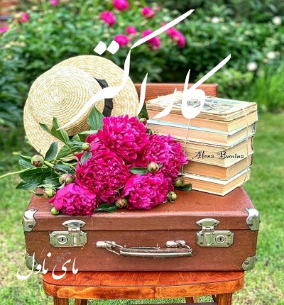 دانلود رمان کاراکتر  از یاسمین موحد  با لینک مستقیم