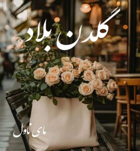 دانلود رمان گلدن بلاد  از هاشور  با لینک مستقیم