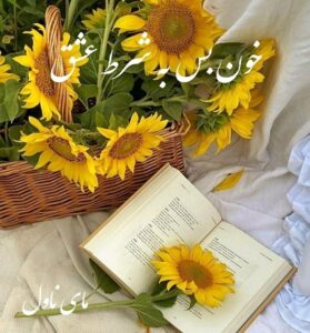 دانلود رمان خون بس به شرط عشق  از سارین  با لینک مستقیم