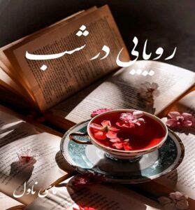 دانلود رمان رویایی در شب  از مهین عبدی  با لینک مستقیم