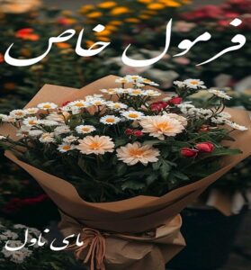 دانلود رمان فرمول خاص  از ژیلا ح با لینک مستقیم