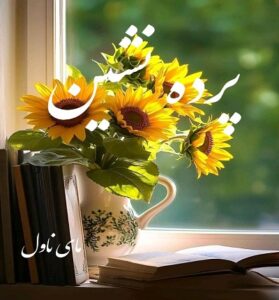 دانلود رمان پرده نشین  از سپیده فرهادی با لینک مستقیم