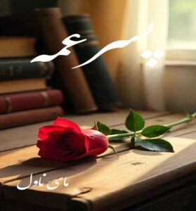 دانلود رمان پسرعمه  از انلی با لینک مستقیم