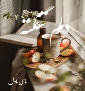 دانلود رمان دلم تنگته  از ملودی با لینک مستقیم