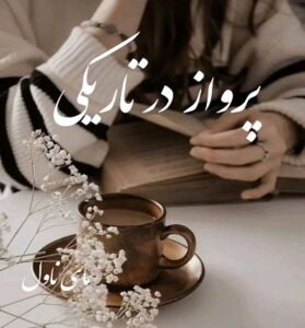 دانلود رمان پرواز در تاریکی  از لیلا نوروزی  با لینک مستقیم
