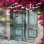 دانلود رمان تنهایی ماهتینار  از رهایش با لینک مستقیم دانلود رمان تنهایی ماهتینار  از رهایش با لینک مستقیم
