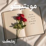 دانلود رمان مونتیگو از سبا سالاری با لینک مستقیم دانلود رمان مونتیگو از سبا سالاری با لینک مستقیم